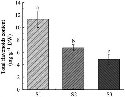 Metabolic profiling and transcriptome analysis provide insights into the accumulation of flavonoids in chayote fruit during storage